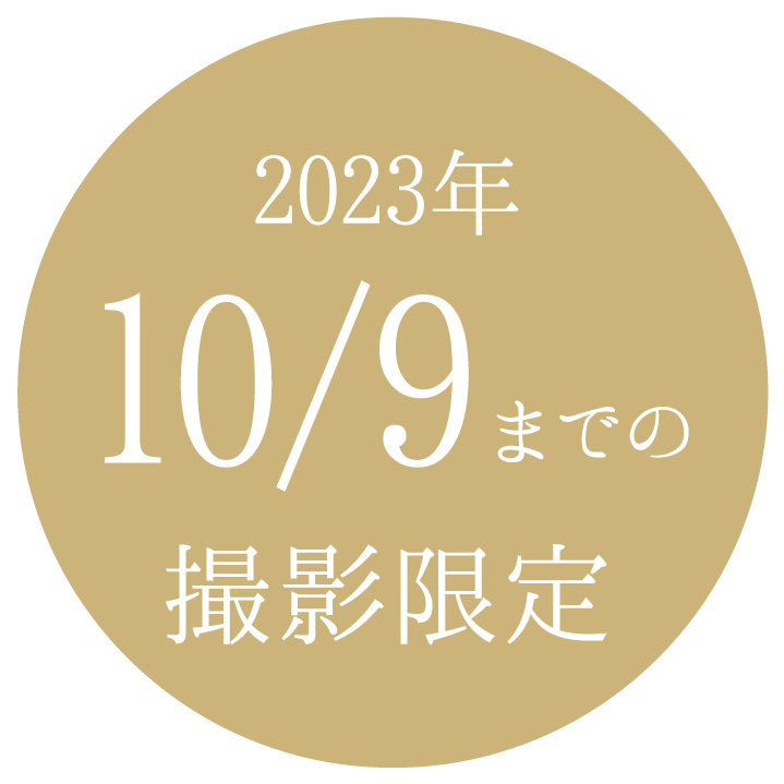 おすすめプラン