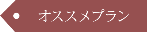 おすすめプラン