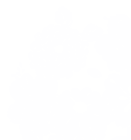 プレミアムプラン