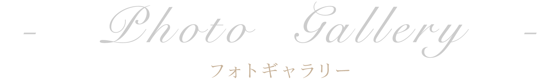 プレミアムプラン