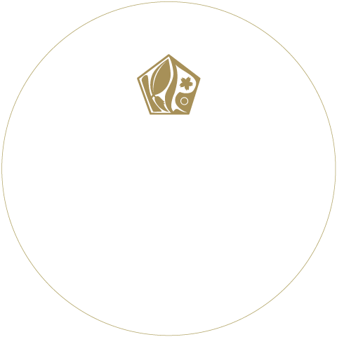 プレミアムプラン