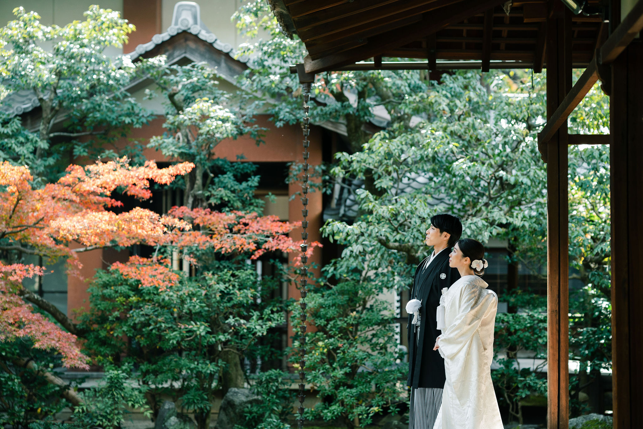 本法寺前撮りイメージ｜縁側で