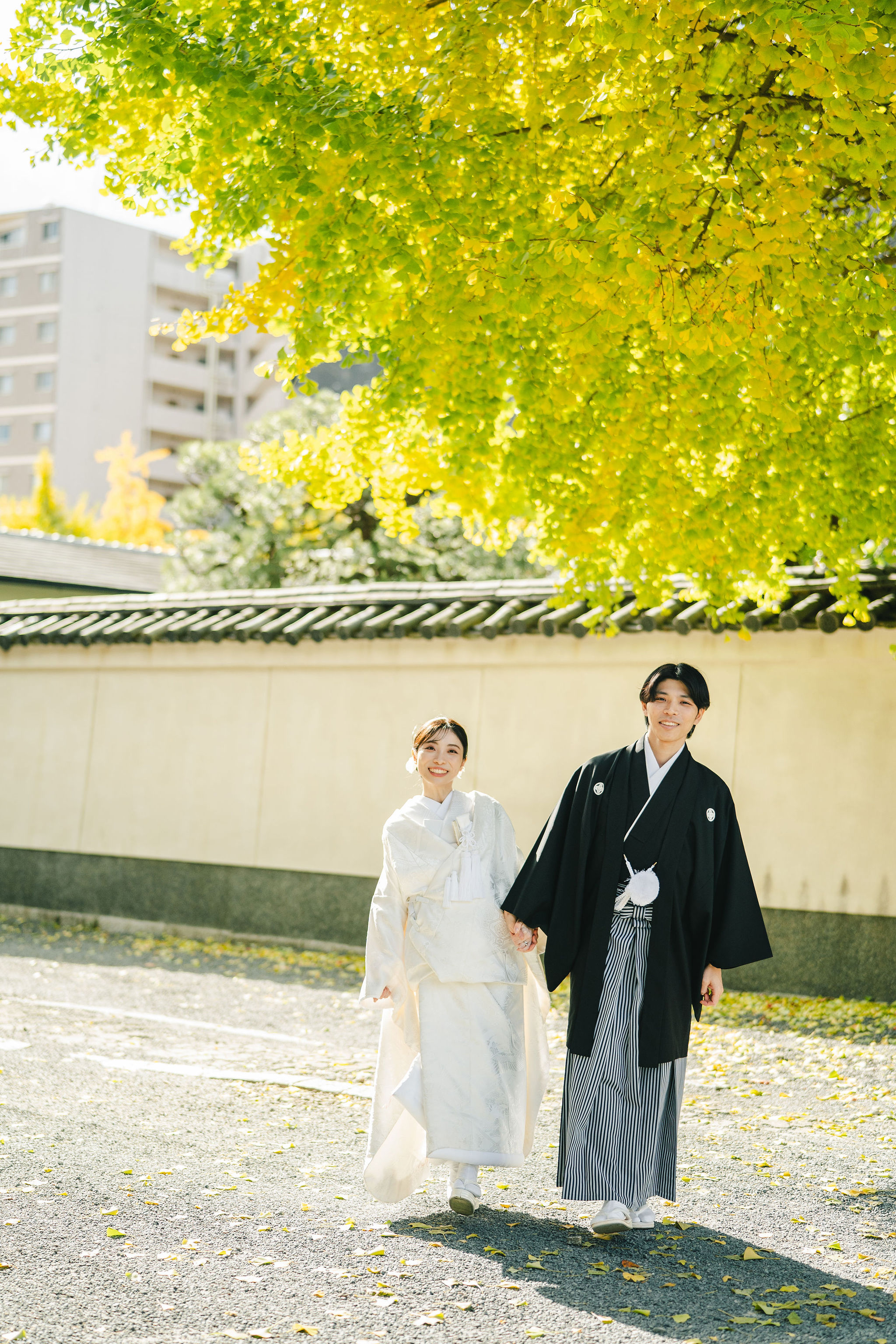 本法寺前撮りイメージ｜銀杏