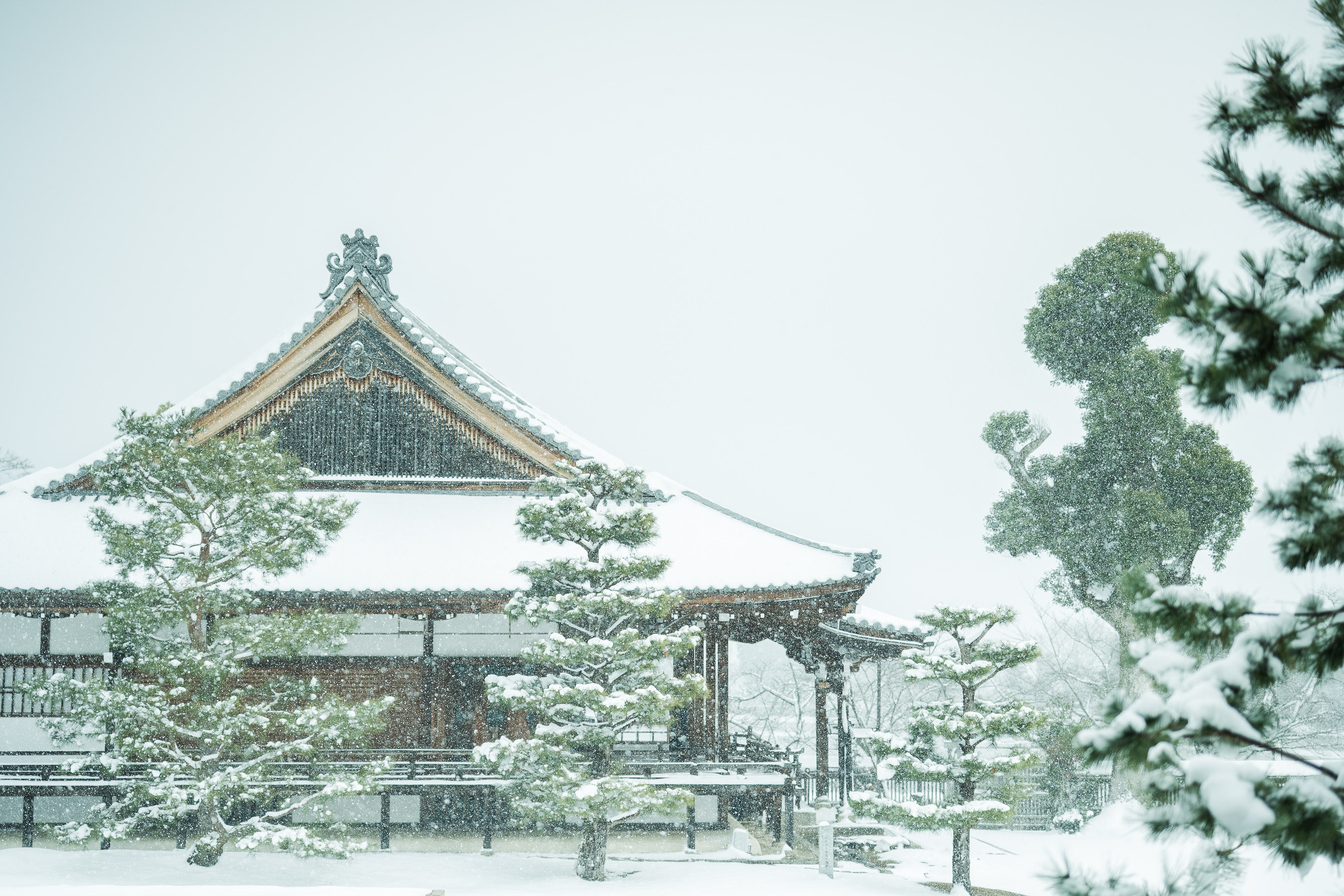 京都前撮り美翔苑