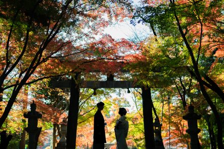 紅葉前撮りのシルエット