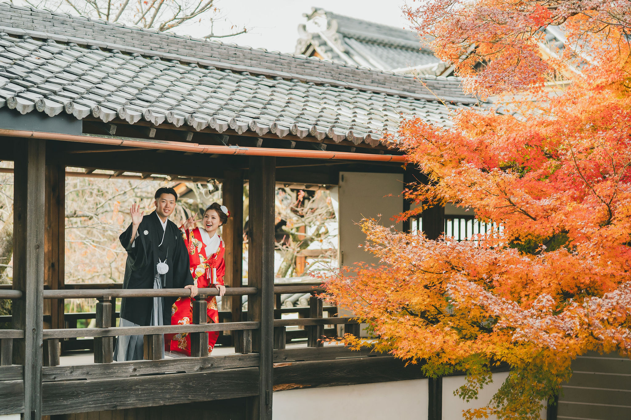 顕寺の渡り廊下から紅葉を眺める和装姿の新郎新婦
