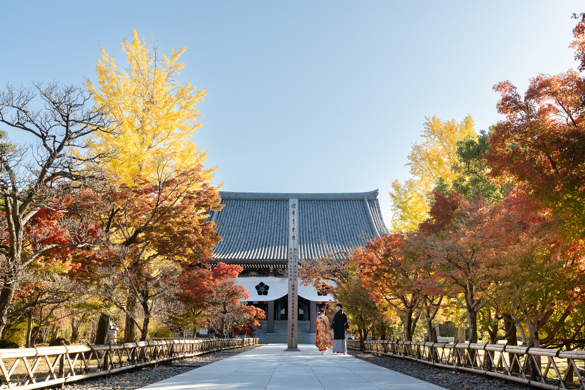 智積院の紅葉前撮りイメージ