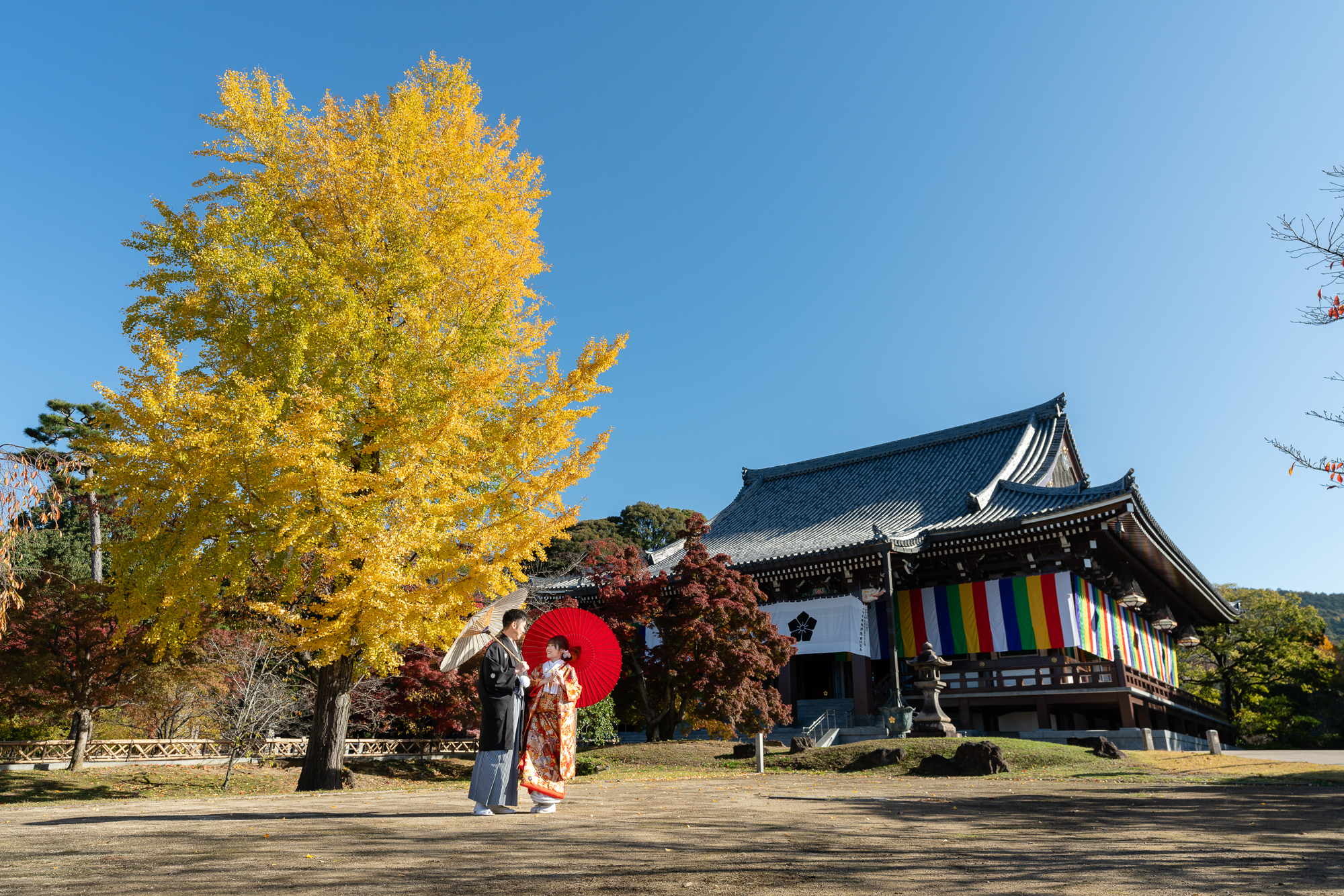 智積院の紅葉前撮りイメージ
