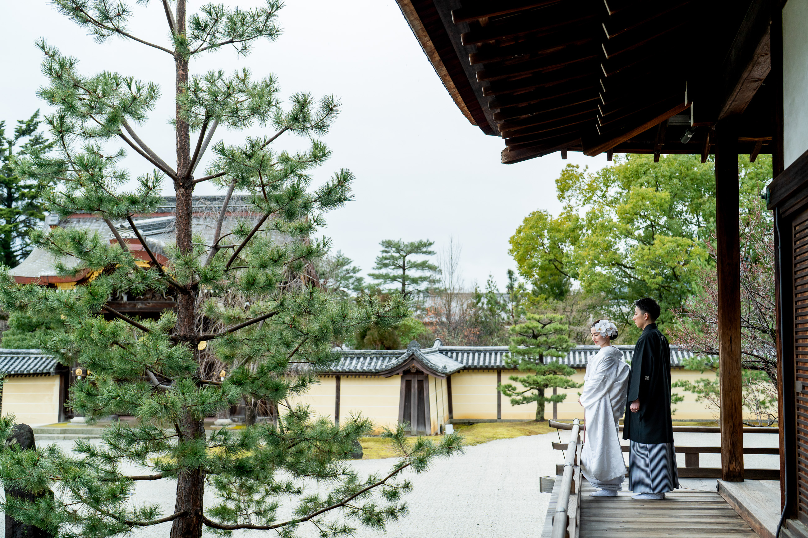 大覚寺｜和装前撮りイメージ