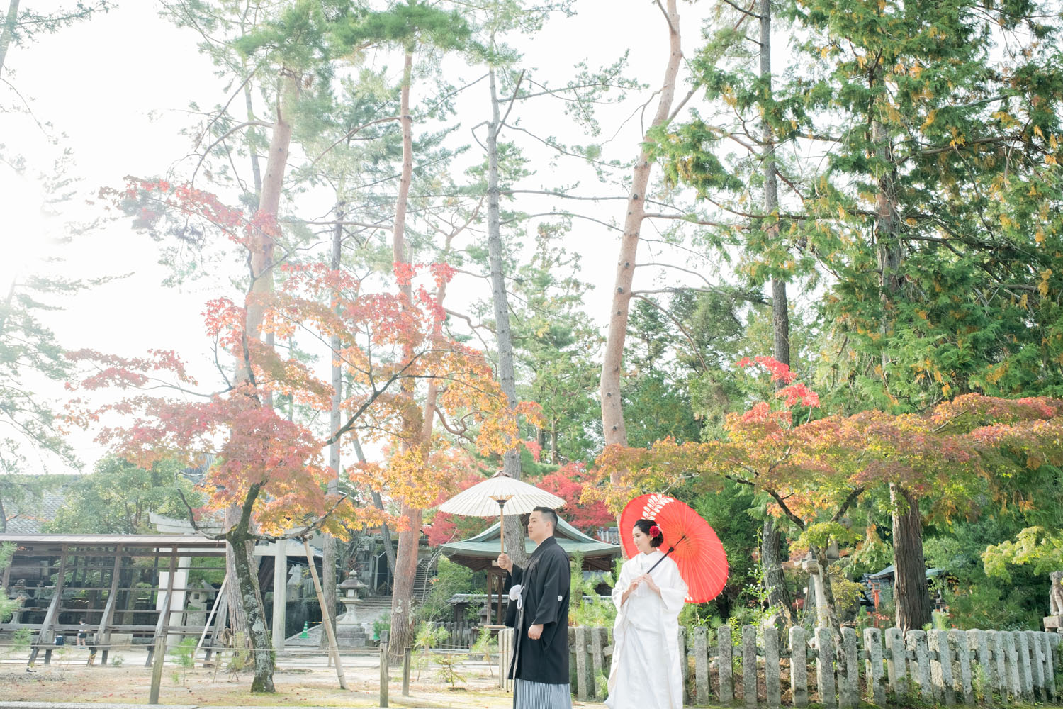 秋の今宮神社で白無垢と黒紋付袴