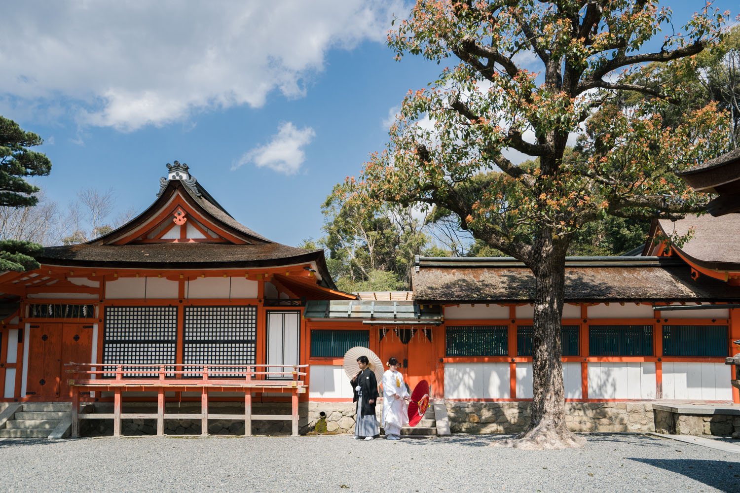 京都の吉田神社境内にて、和装前撮り