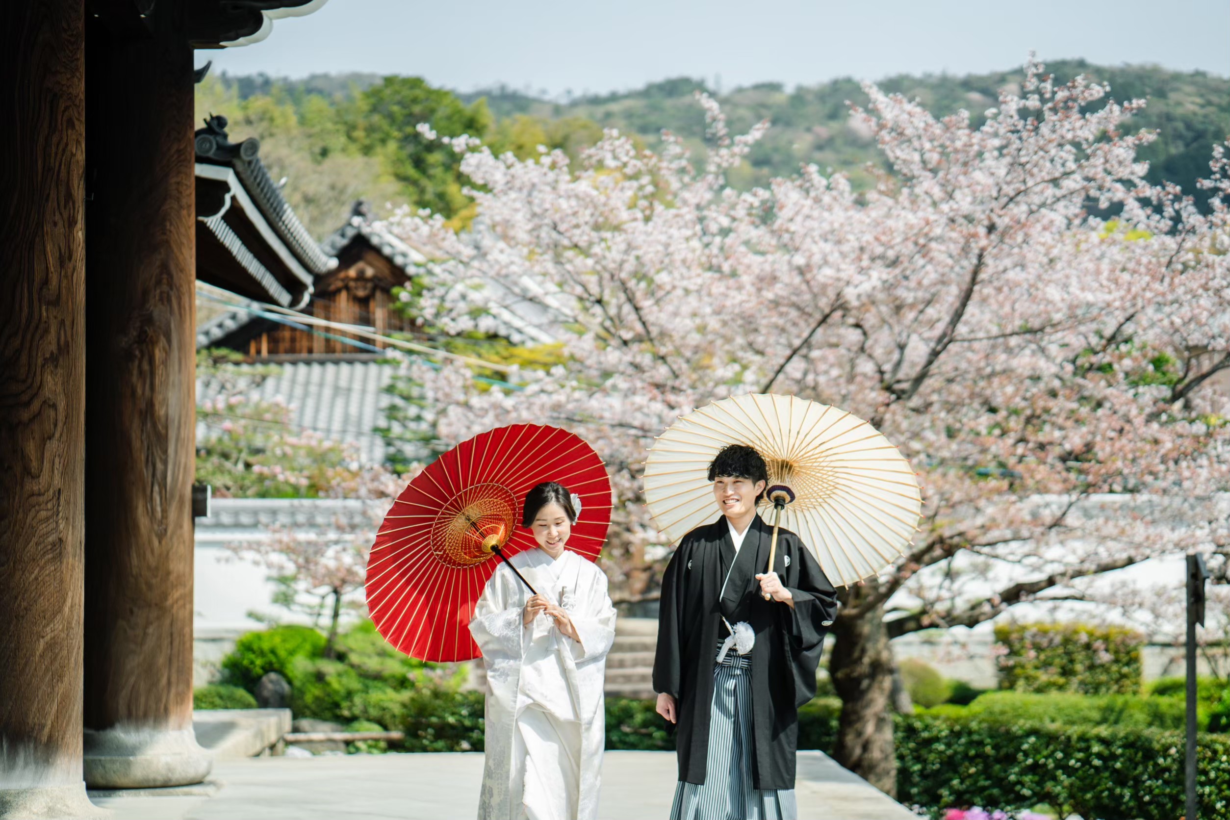 桜シーズンの金戒光明寺前撮り事例