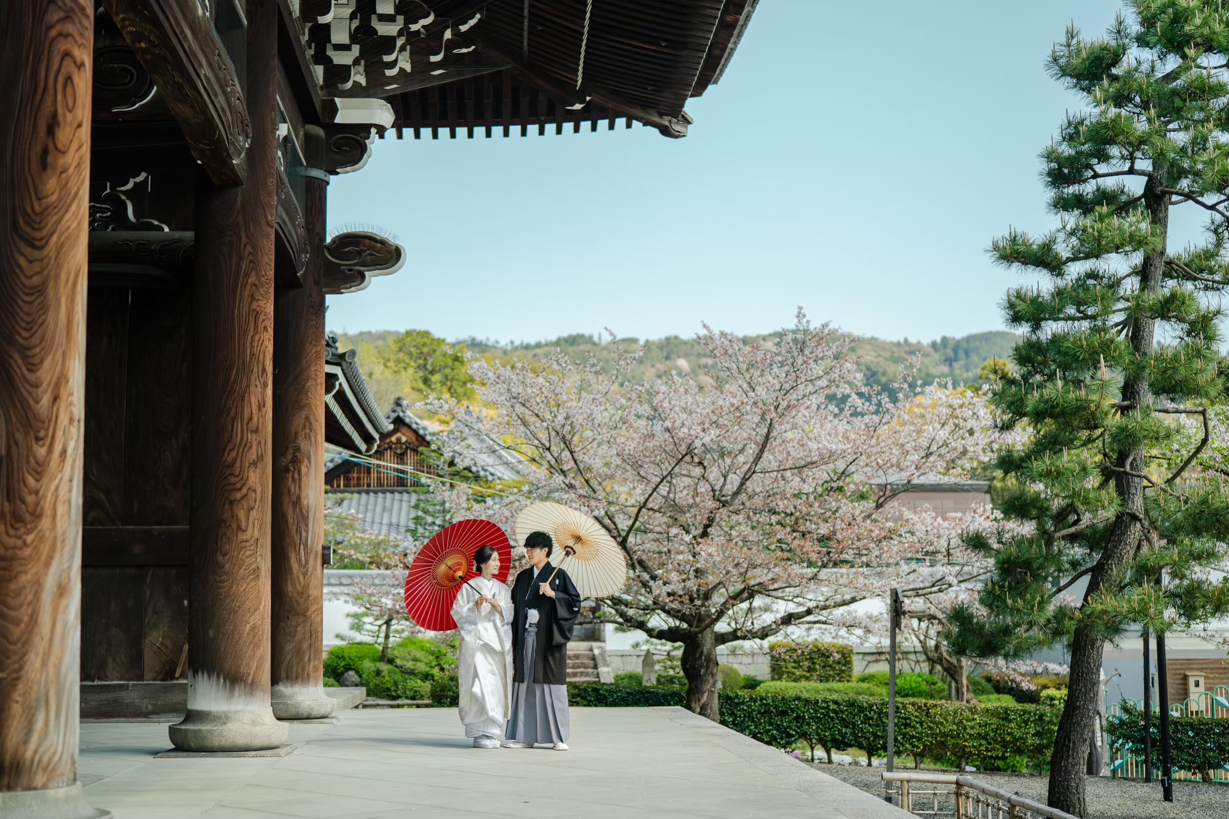 桜シーズンの金戒光明寺前撮り事例