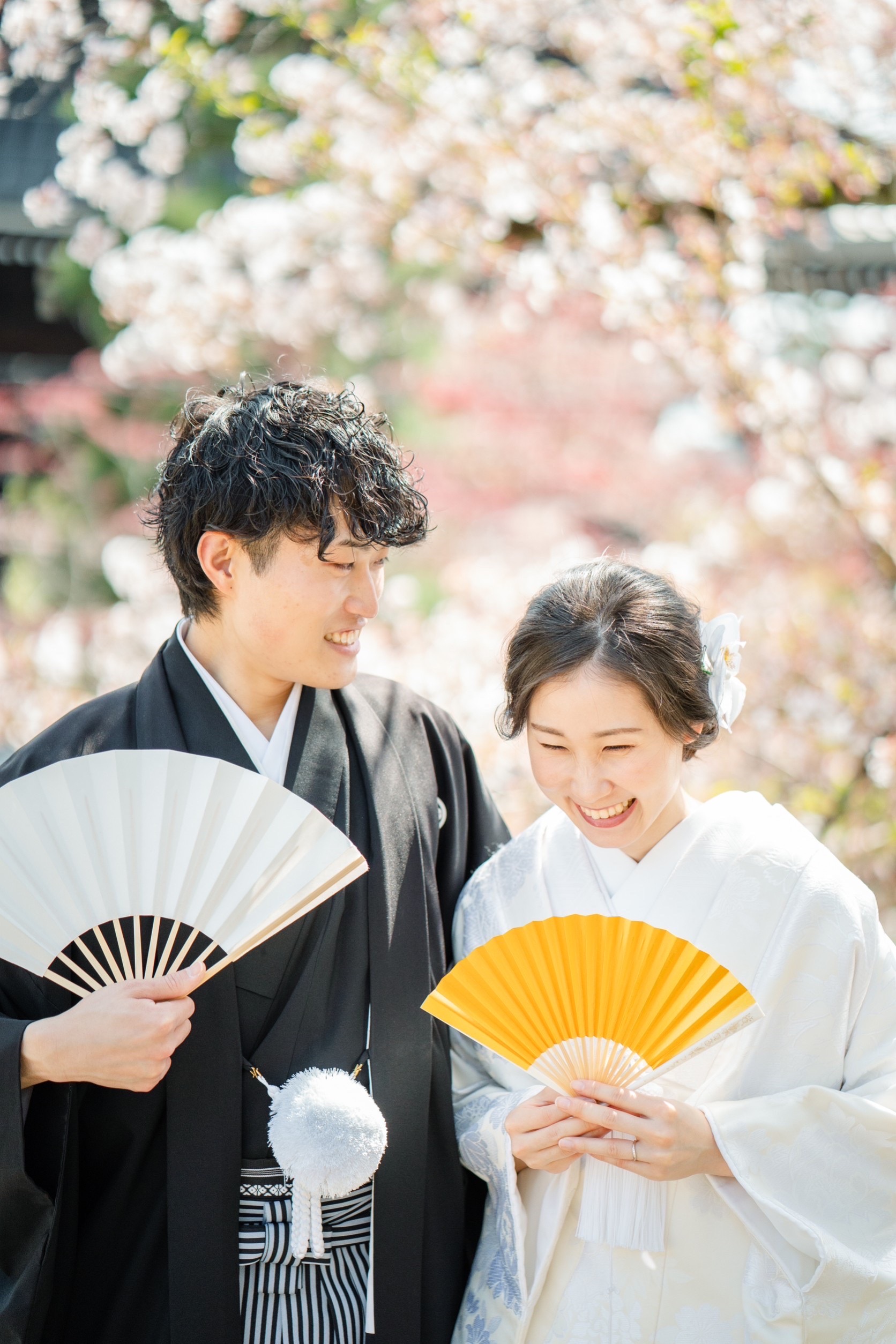 桜シーズンの金戒光明寺前撮り事例