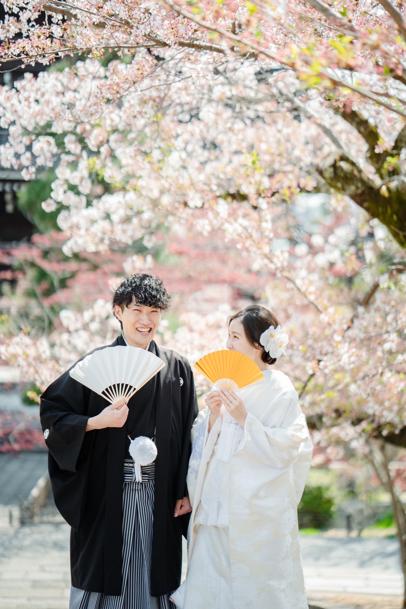 桜シーズンの金戒光明寺前撮り事例