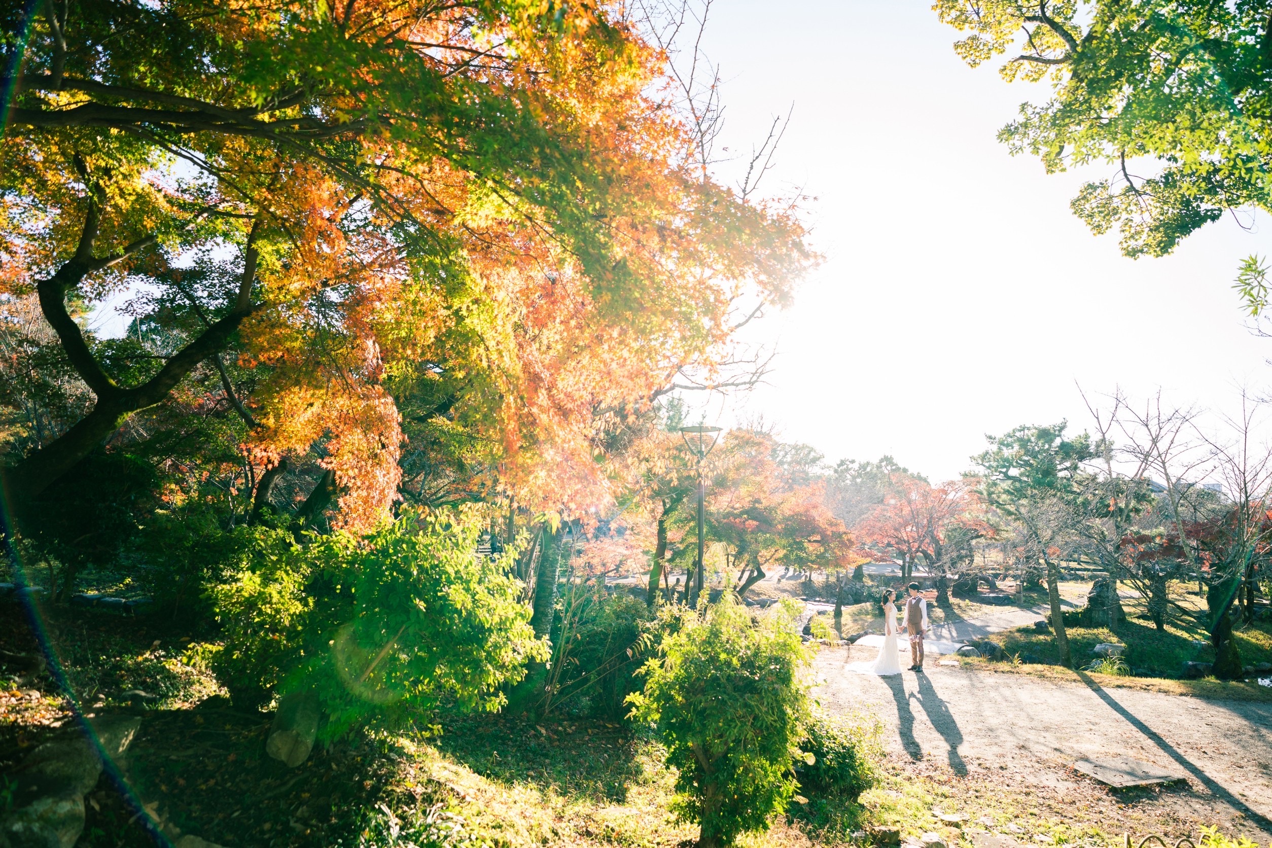 円山公園の洋装前撮り全体イメージ