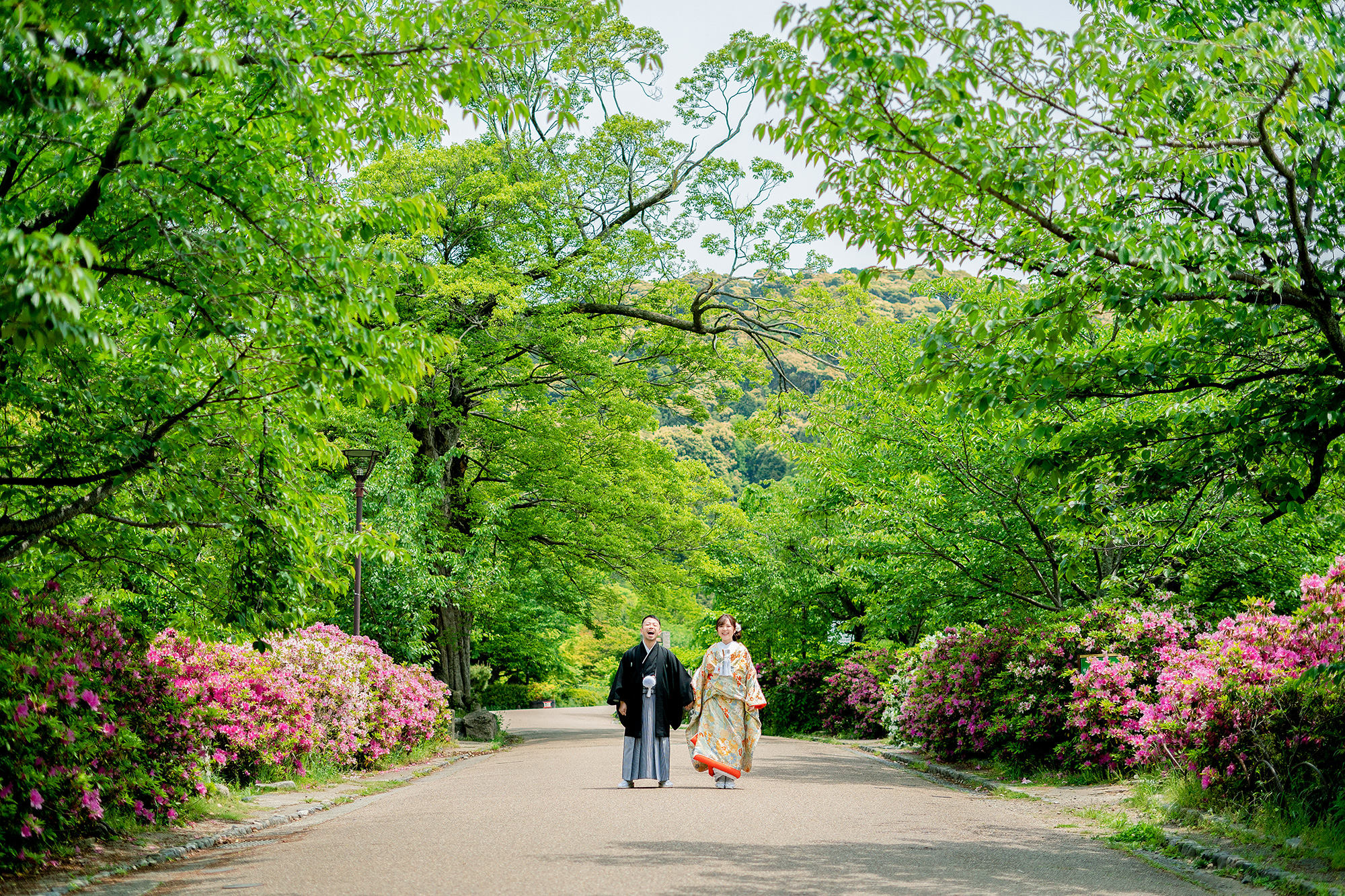 ツツジの円山公園で前撮り