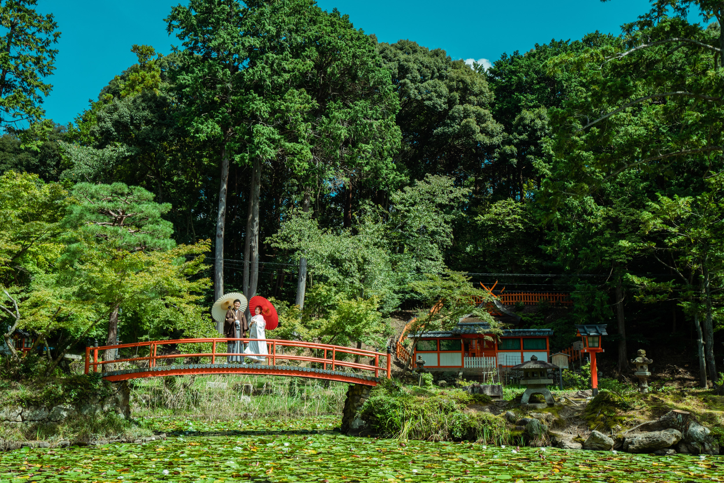 大原野神社の池