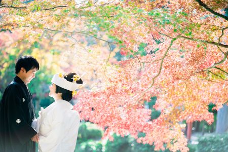 紅葉写真１１月１６日