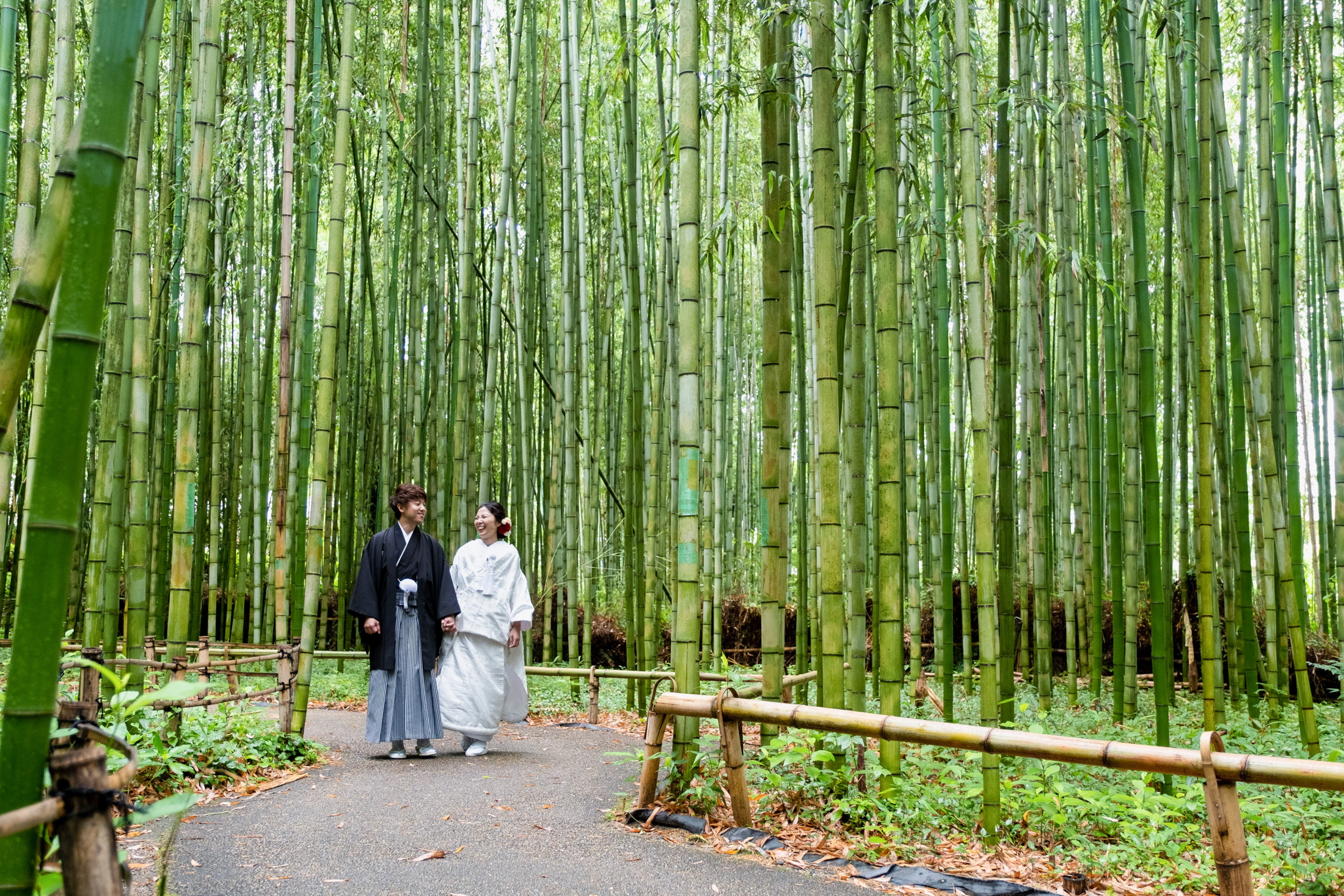 嵐山前撮り・竹林スペースにて