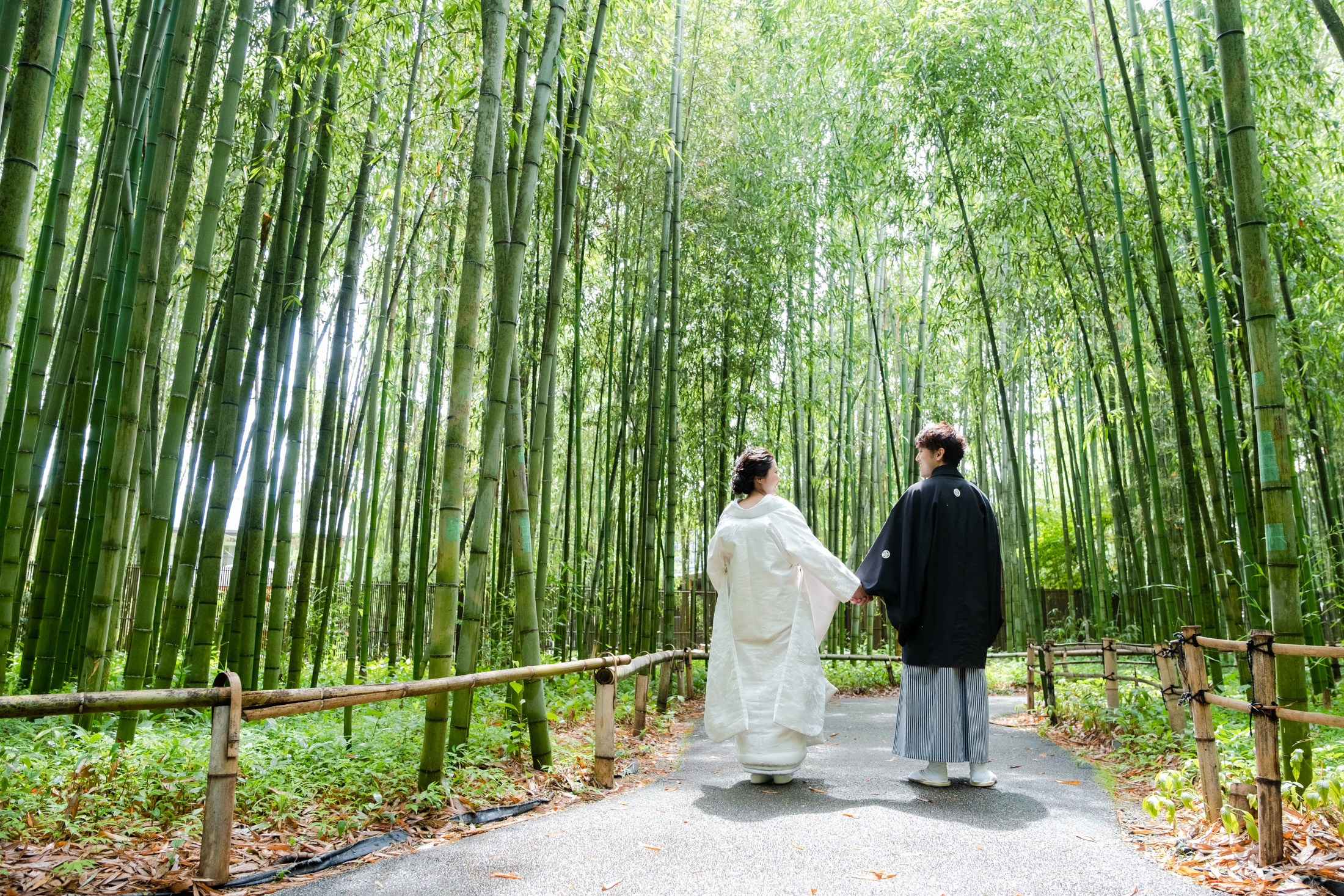 嵐山の竹林にて、前撮り