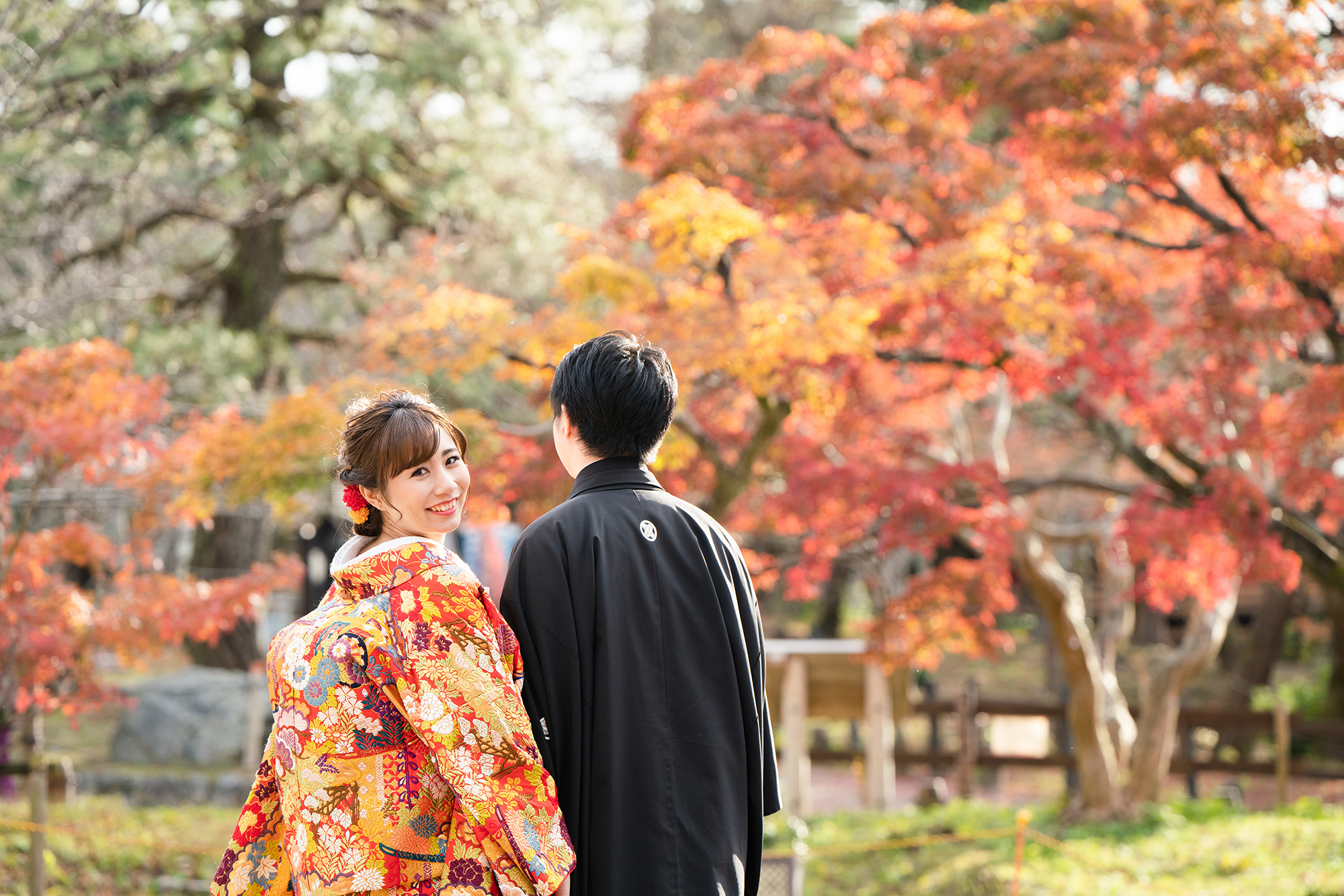 秋の円山公園