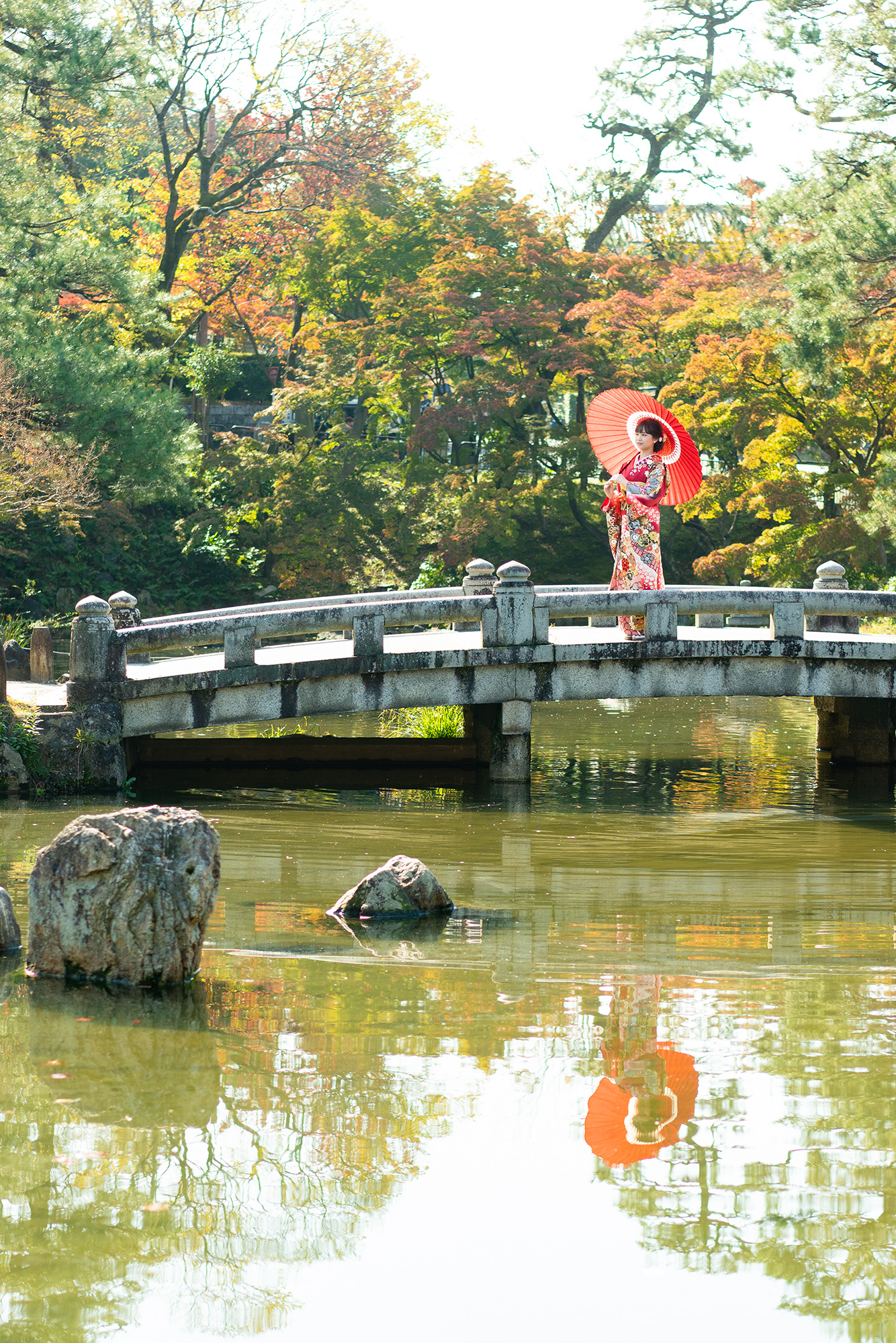 円山公園11月中旬