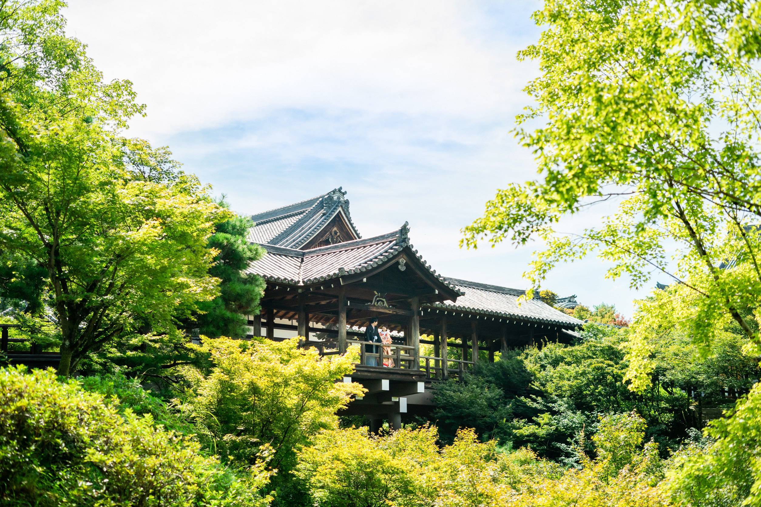 通天橋を遠くから撮影