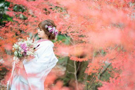 １２月の紅葉前撮りイメージ