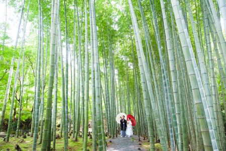 京都のお寺にある竹林スペースで前撮り