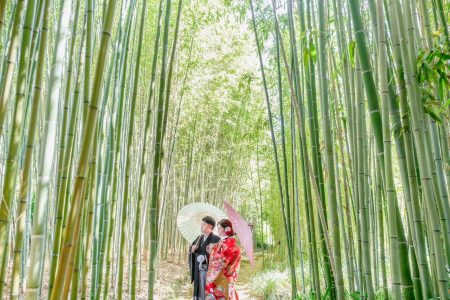 竹の中、新郎新婦様、前撮り中