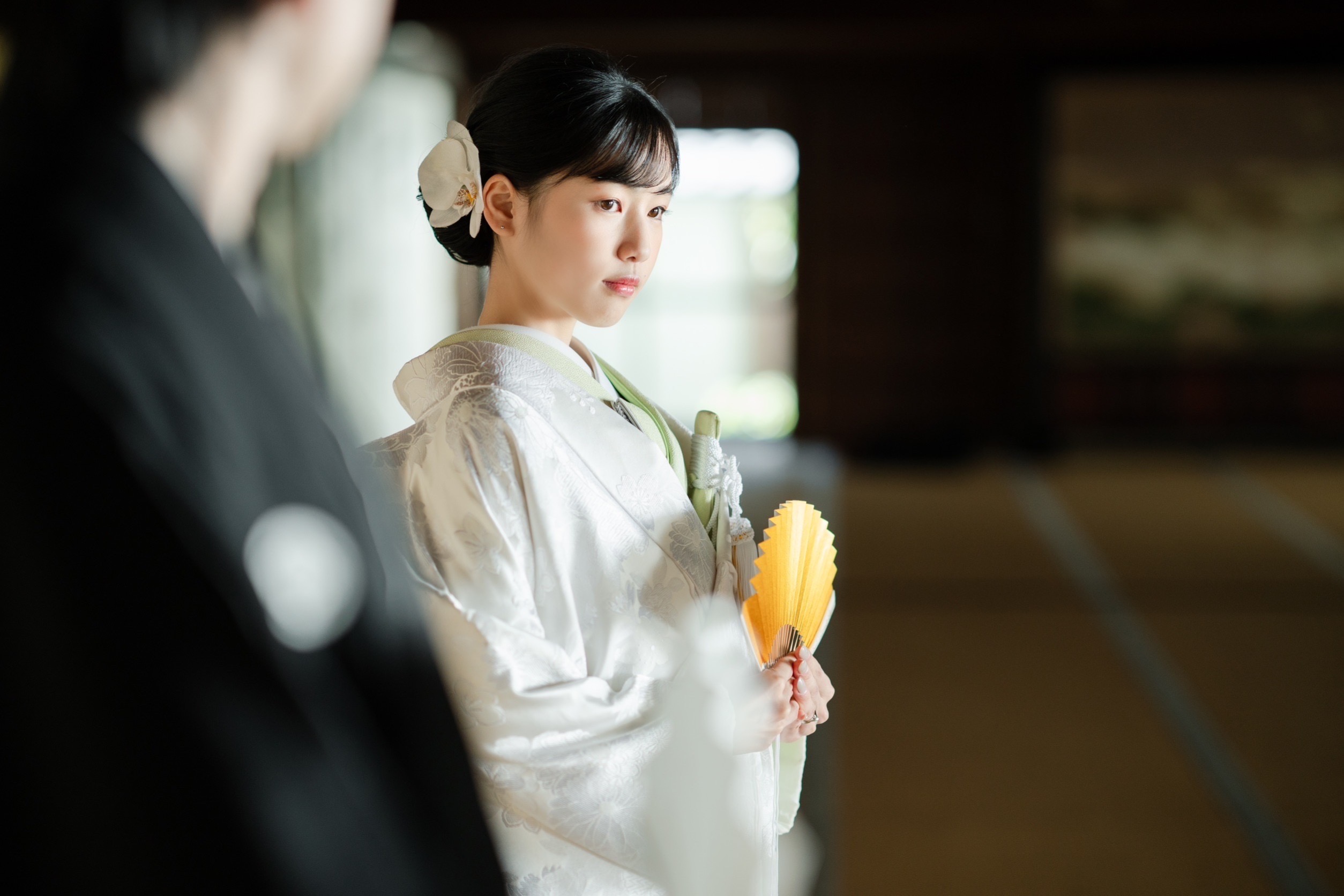 色掛下・ひわ色(黄緑色)