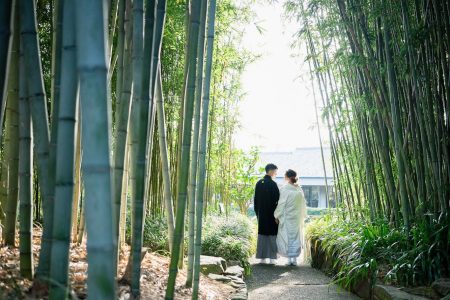 冬の竹林で前撮り