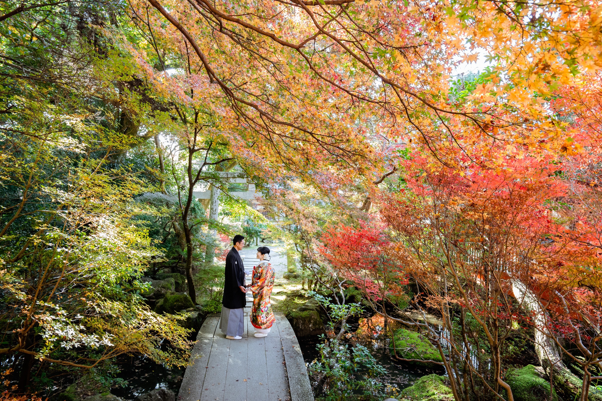 紅葉の毘沙門堂前撮り