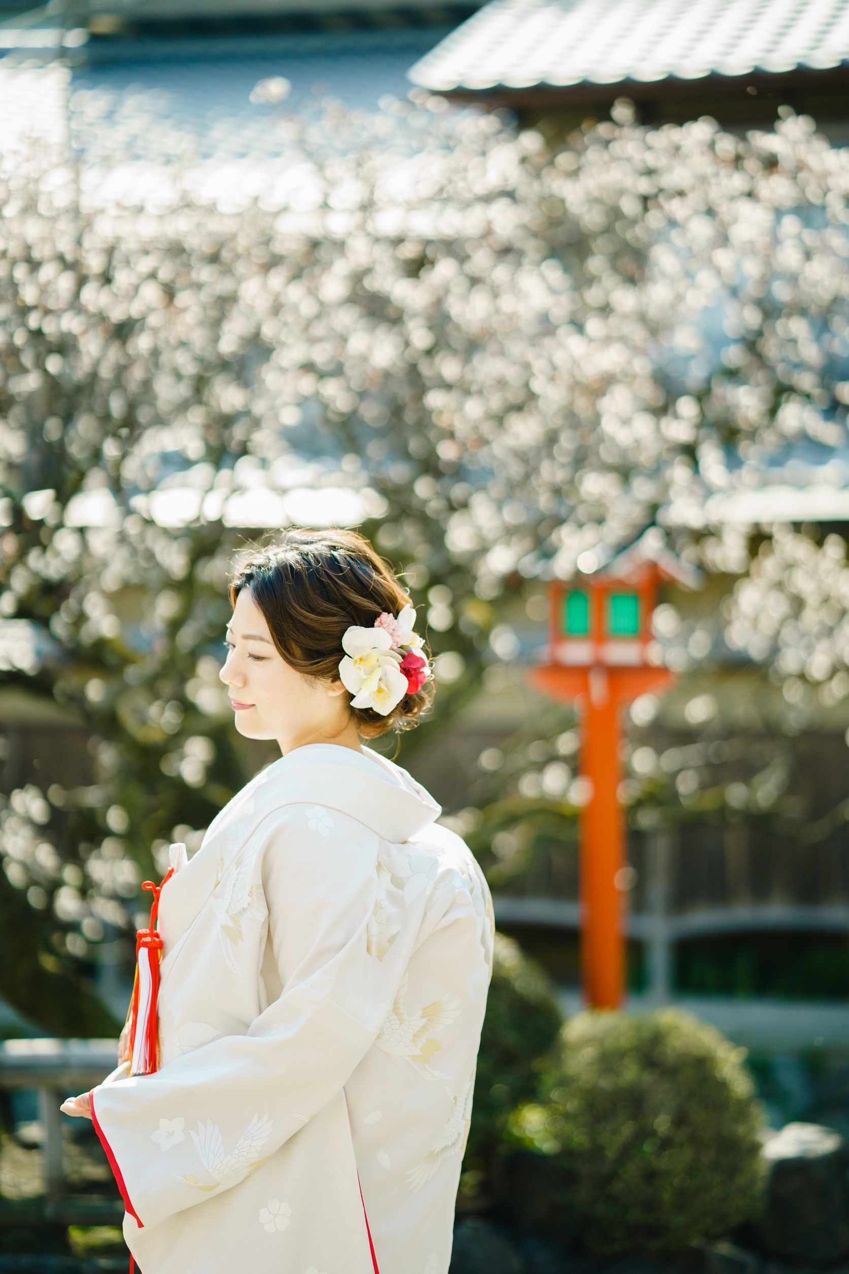 京都祇園の梅と白無垢花嫁