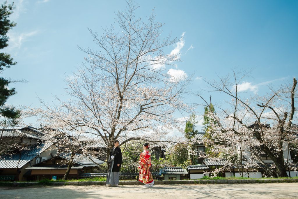 桜と前撮り