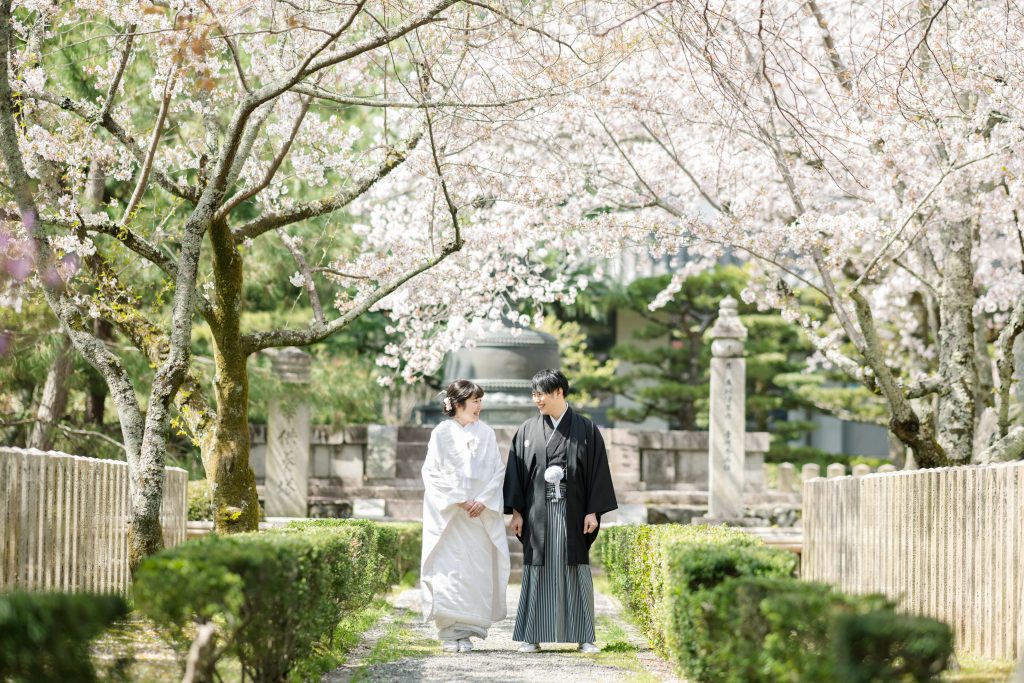 大覚寺と桜