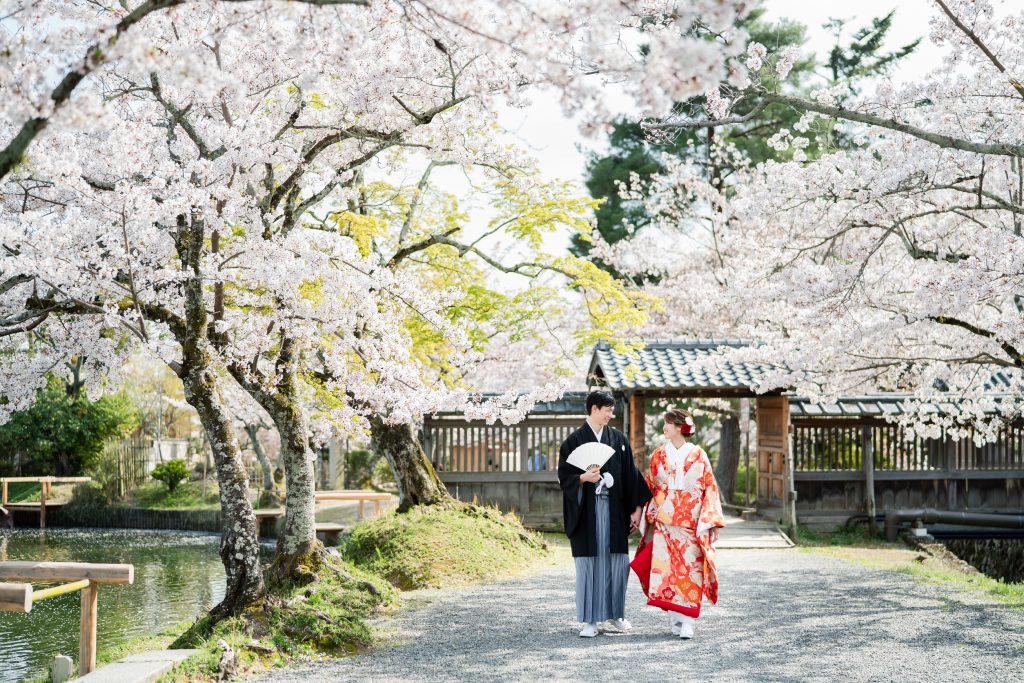 京都の大覚寺の桜