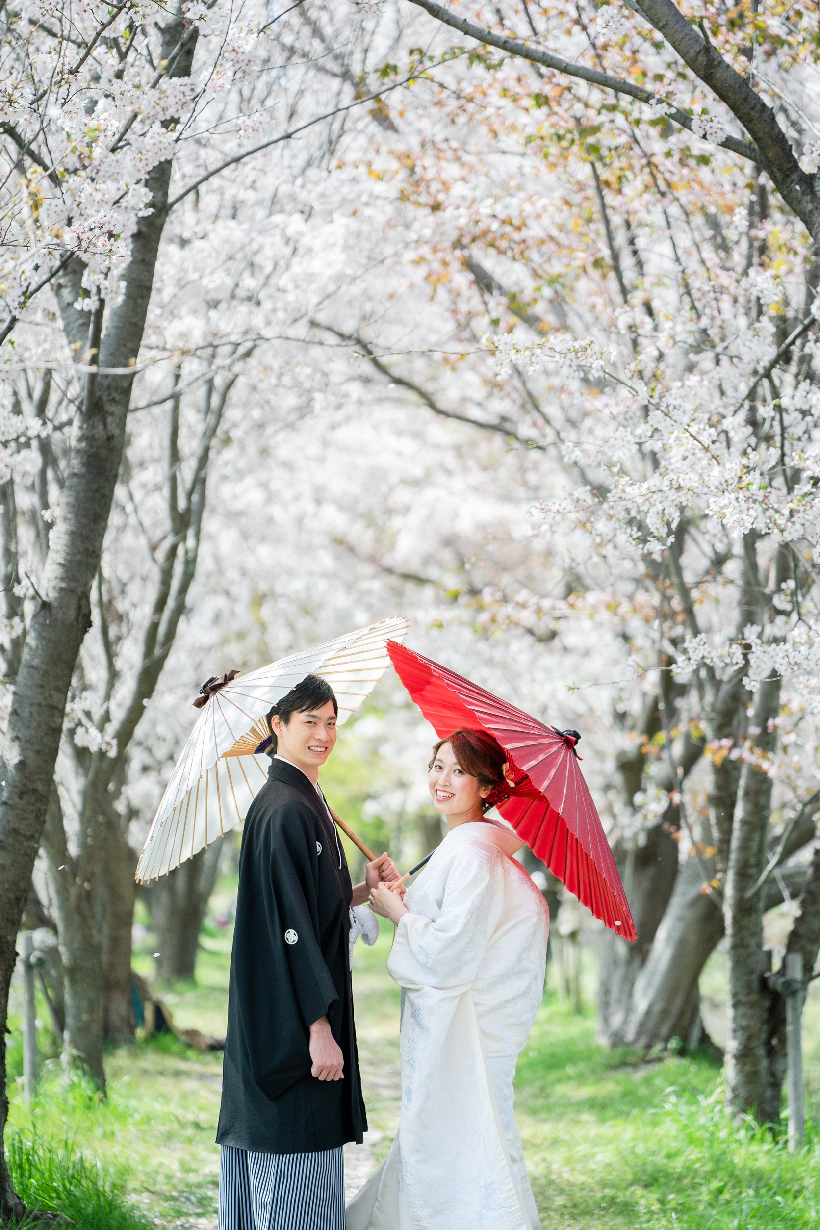 嵯峨野の桜と前撮り