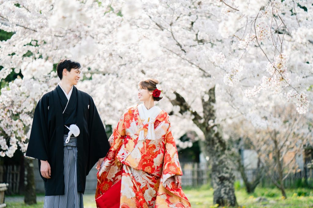 大沢の池周辺の桜