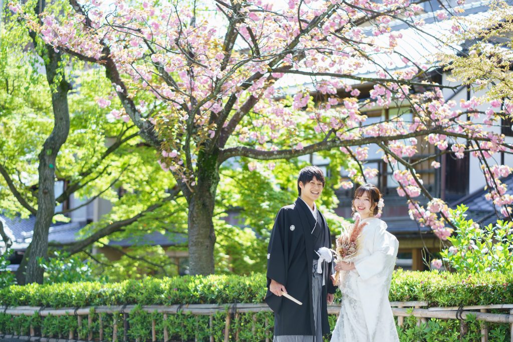 祇園白川の八重桜