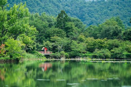 大沢の池