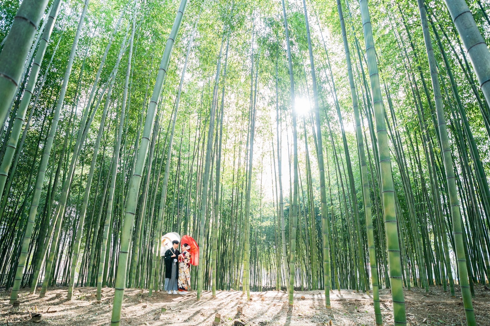 大覚寺の竹林で撮影