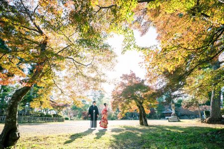 紅葉の大沢の池周辺