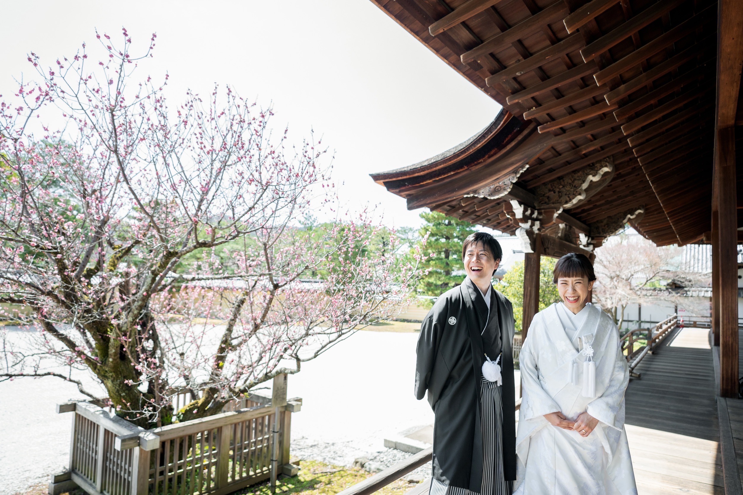 大覚寺の春、前撮り