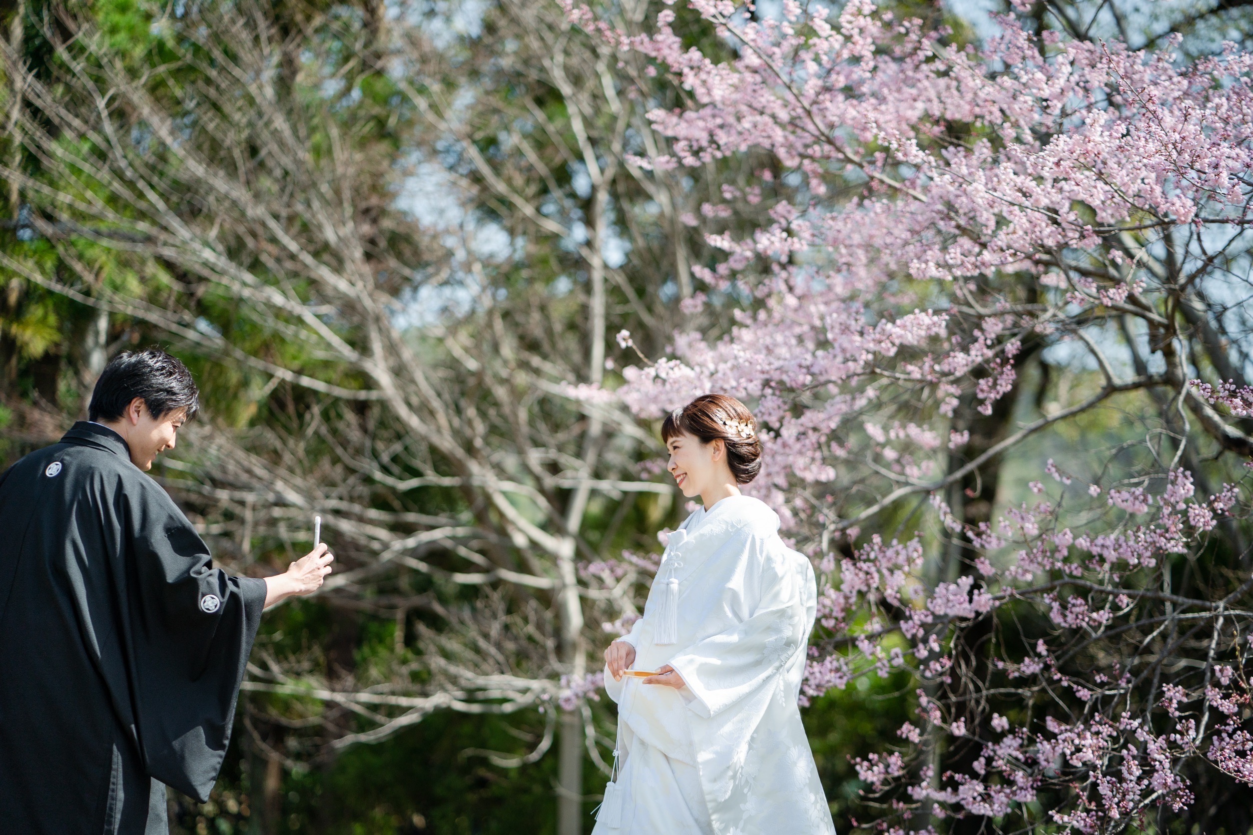 大覚寺の春、前撮り