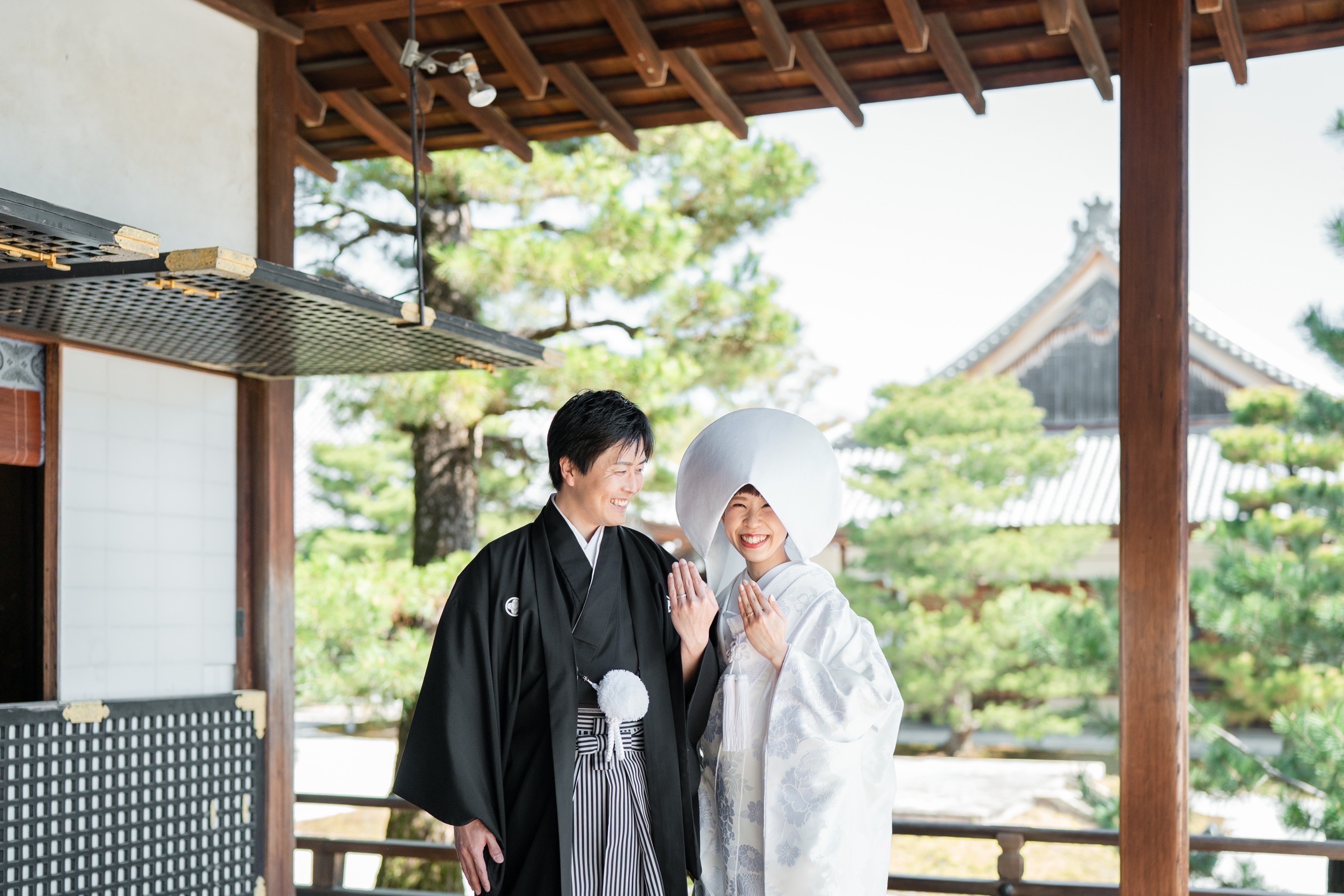 大覚寺の春、綿帽子
