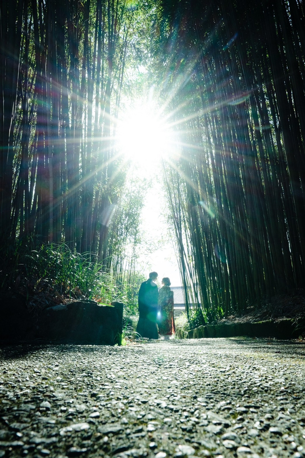 洛西竹林公園前撮り