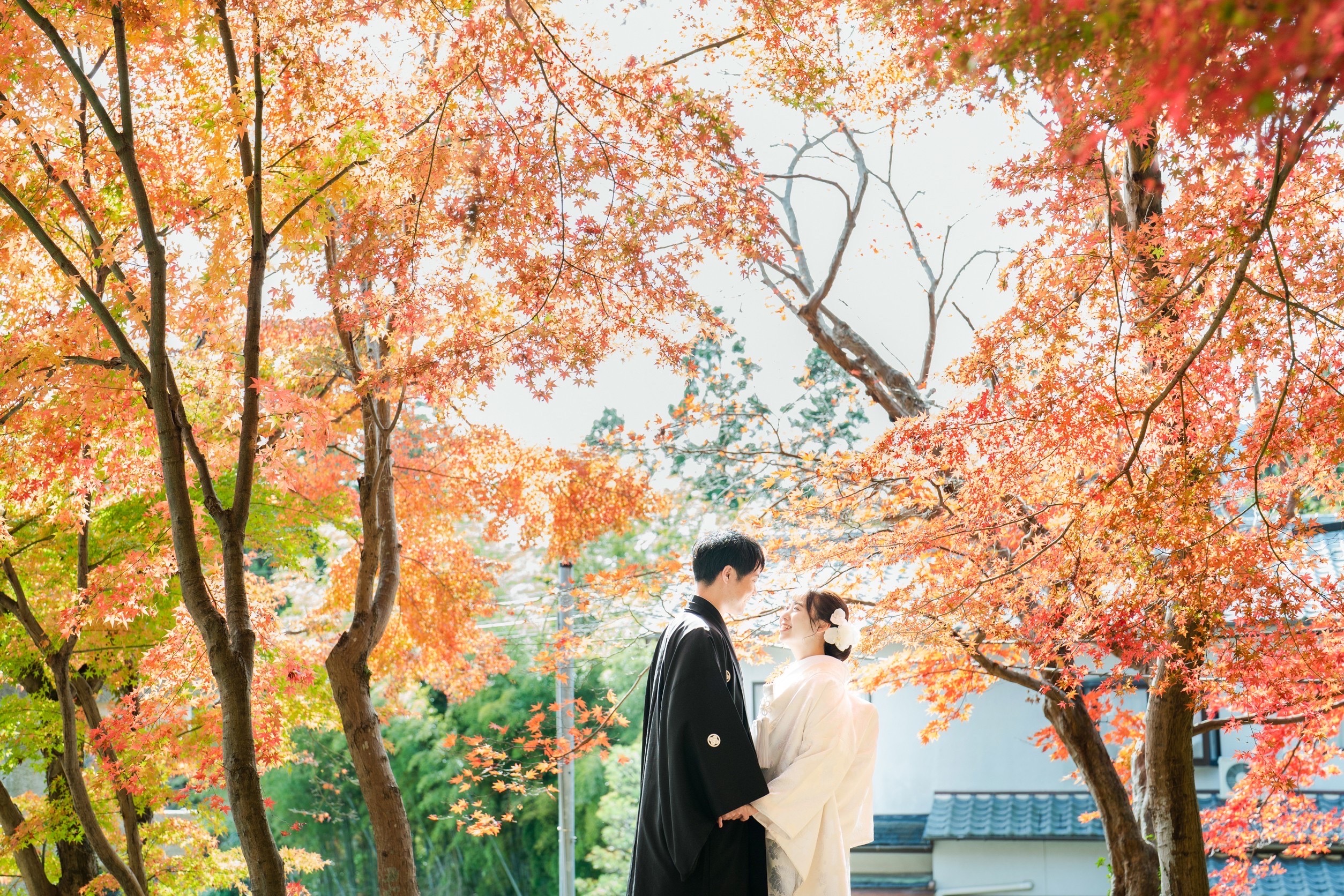京都前撮り、紅葉