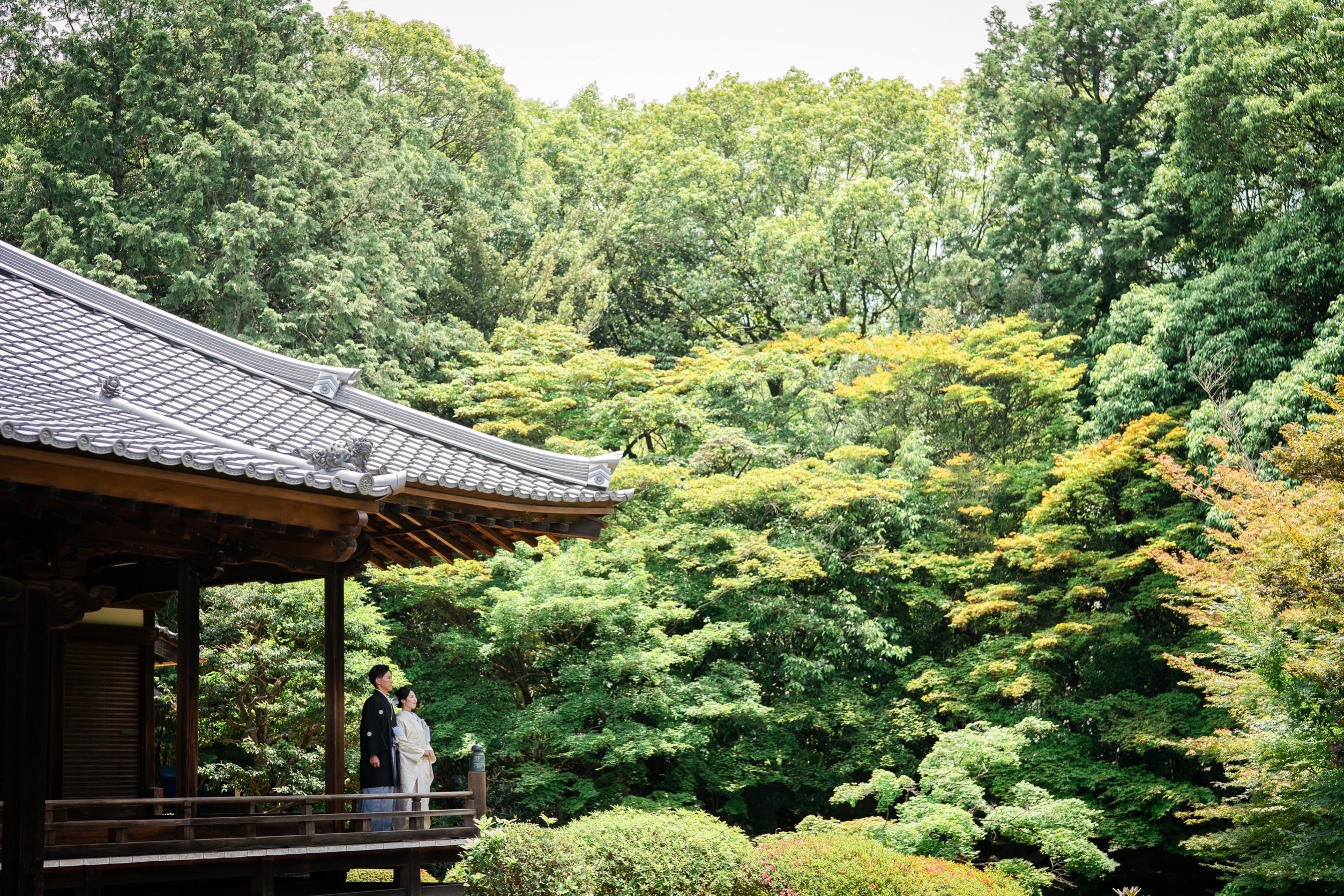 隨心院